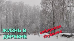 Жизнь в сибирской глубинке Куры радуют Яичница утром будет