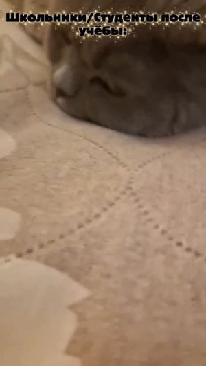 Каждый школьник/студент🤣