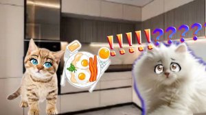 Котëнок Аврора ГОТОВИТ ЯИШНИЦУ!!!???? ЭТО ПРАВДА!!!