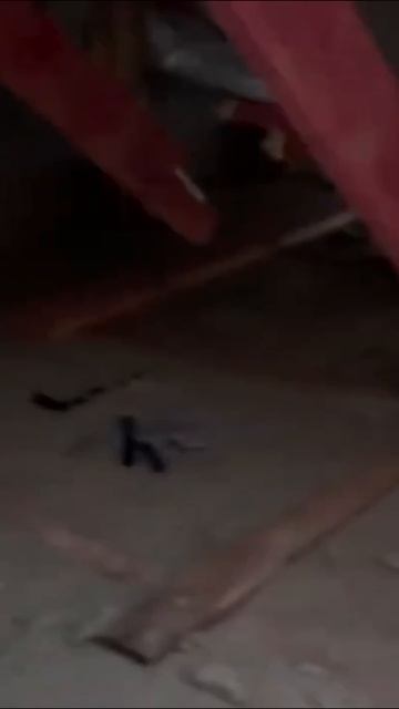 ⚠️‼️ Кровля не выдержала снега и стропила сломались смотреть онлайн