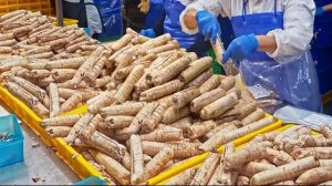 Тайваньский процесс массового производства на пищевой фабрике