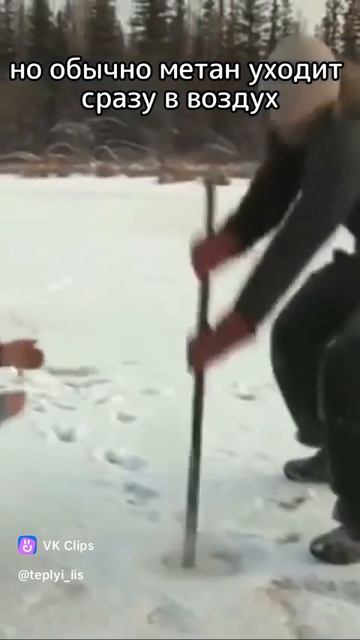 А вы это знали!?