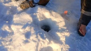 Налим на жерлицы! сезон 2026 , рыбалка по твердой воде