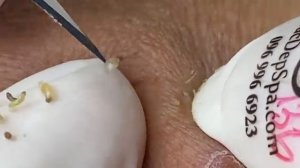 Relax Spa 080 • АСМР • SacDepSpa collection