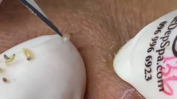 Relax Spa 080 • АСМР • SacDepSpa collection