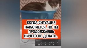 Я в любой непонятной ситуации...