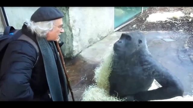 Разоблачение_на_хейтера_Максимы_Дзюбы [еще на публике]