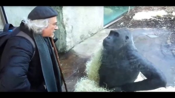 Разоблачение_на_хейтера_Максимы_Дзюбы [еще на публике]