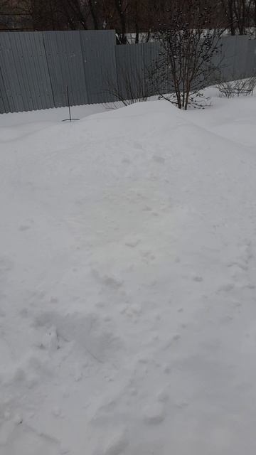 Много снега-много хлеба! смотреть онлайн