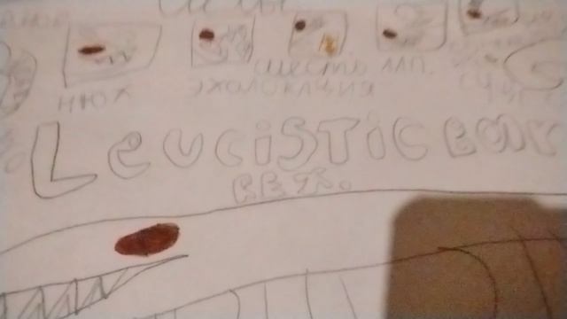 Лейкозистический барионикс рекс