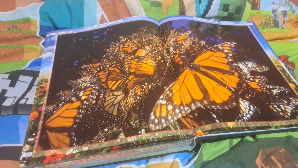 Читаю книжку про бабочек часть 1 смотреть онлайн