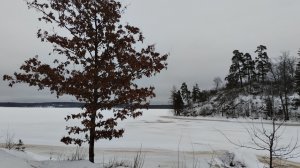 Выборг \ Парк Монрепо 2