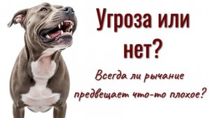 Язык тела, часть II. Угроза -- не угроза, подчинение или просьба почесать пузико?
