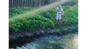 Рыбалка и отдых в Доминиканской республике. Март 2020.