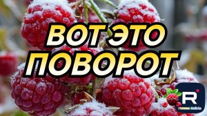 Ольга Уралочка _Вот это поворот _Обзор _Ольга Уралочка live _