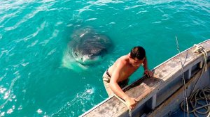 За Секунду До! Эти Случаи Удалось Снять на Камеру