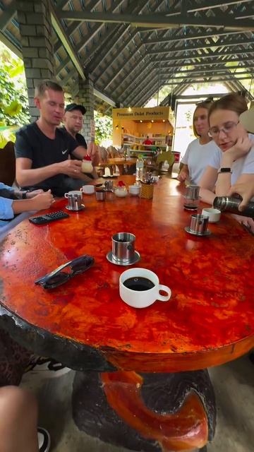 А вы знаете, из чего изготавливают самый дорогой кофе? ☕️✨ смотреть онлайн