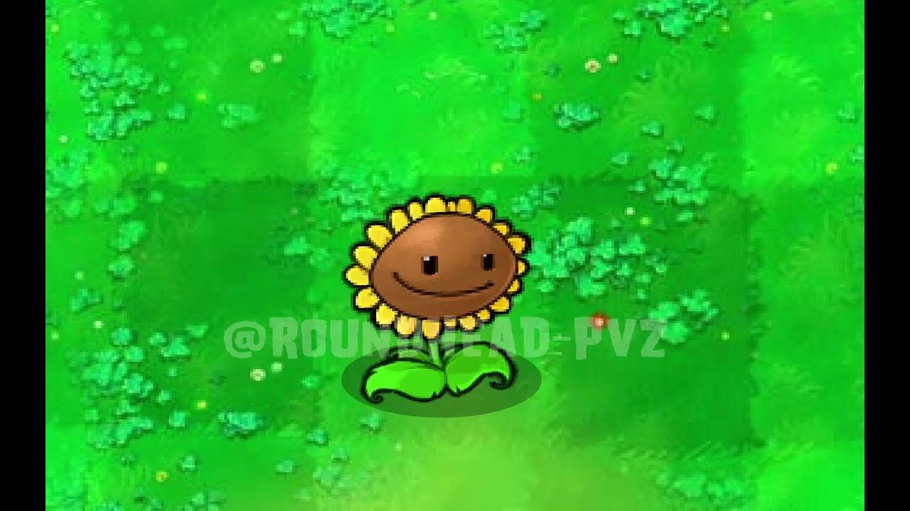 Ordinary Sunflower Day