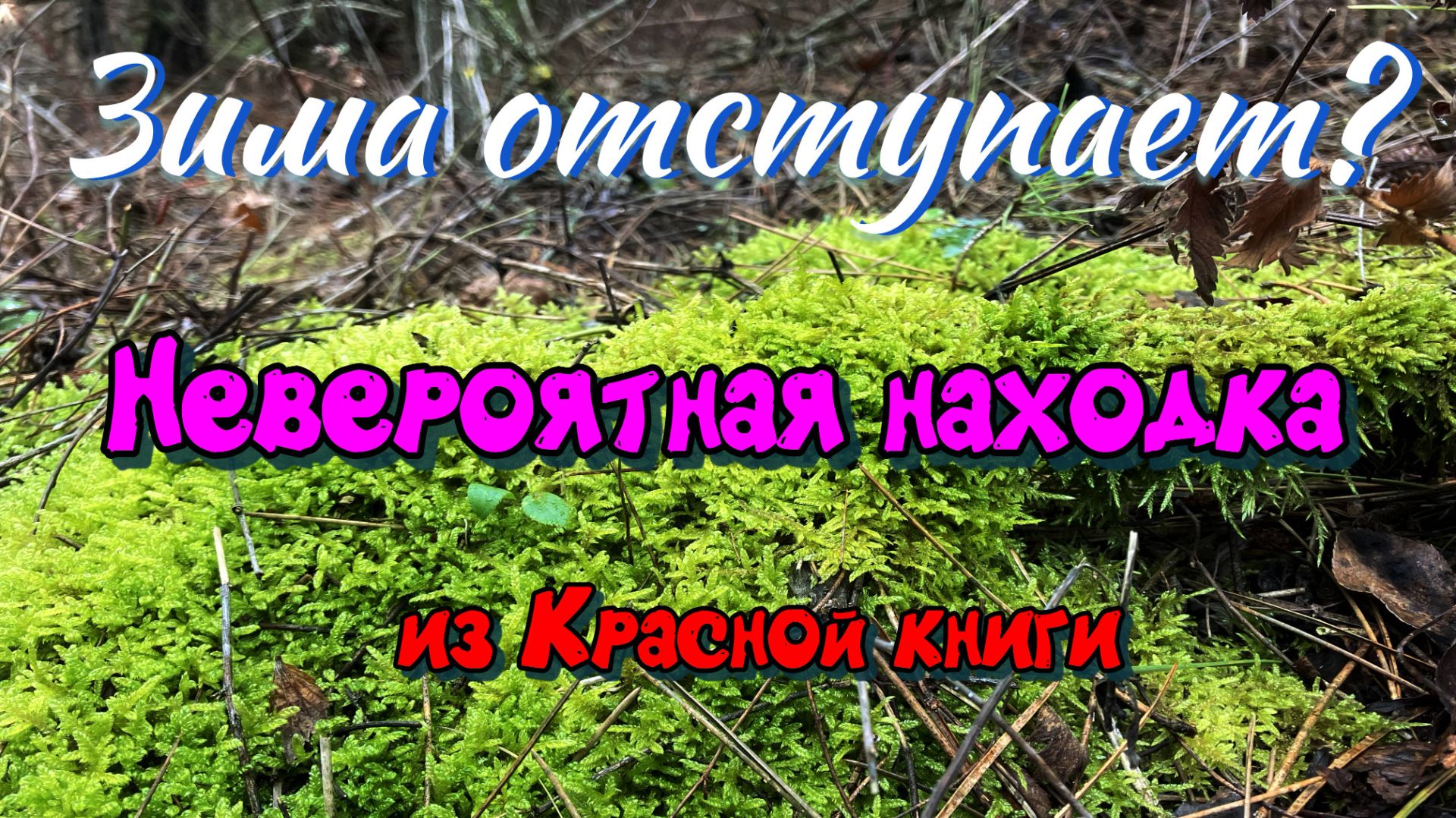 Зима отступила? Наша невероятная январская находка! смотреть онлайн