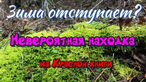 Зима отступила? Наша невероятная январская находка!