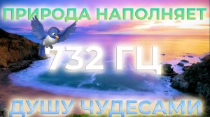 432 Гц🎶УСПОКОЙ НЕРВЫ И РАЗУМ🌿ТАЙНА ПРИРОДЫ И ПЕНИЕ ПТИЦ, ОТКРОЙ ДВЕРИ К ЧУДЕСАМ