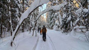 2026.01.31 Парк Харинка-Афанасово 9 км