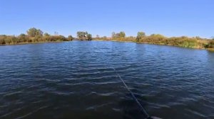 В ДЕРЕВЕНСКОМ ЗАРОСШЕМ ПРУДИКЕ ЩУКИ ОГОЛОДАЛИ И АТАКУЮТ ПРИМАНКИ РЫБАКОВ! Рыбалка.