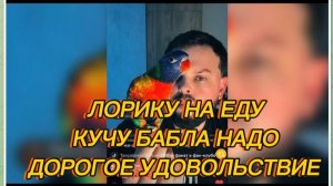 САМВЕЛ АДАМЯН, ЛОРИКУ НА ЕДУ КУЧУ БАБЛА НАДО, ДОРОГОЕ УДОВОЛЬСТВИЕ..