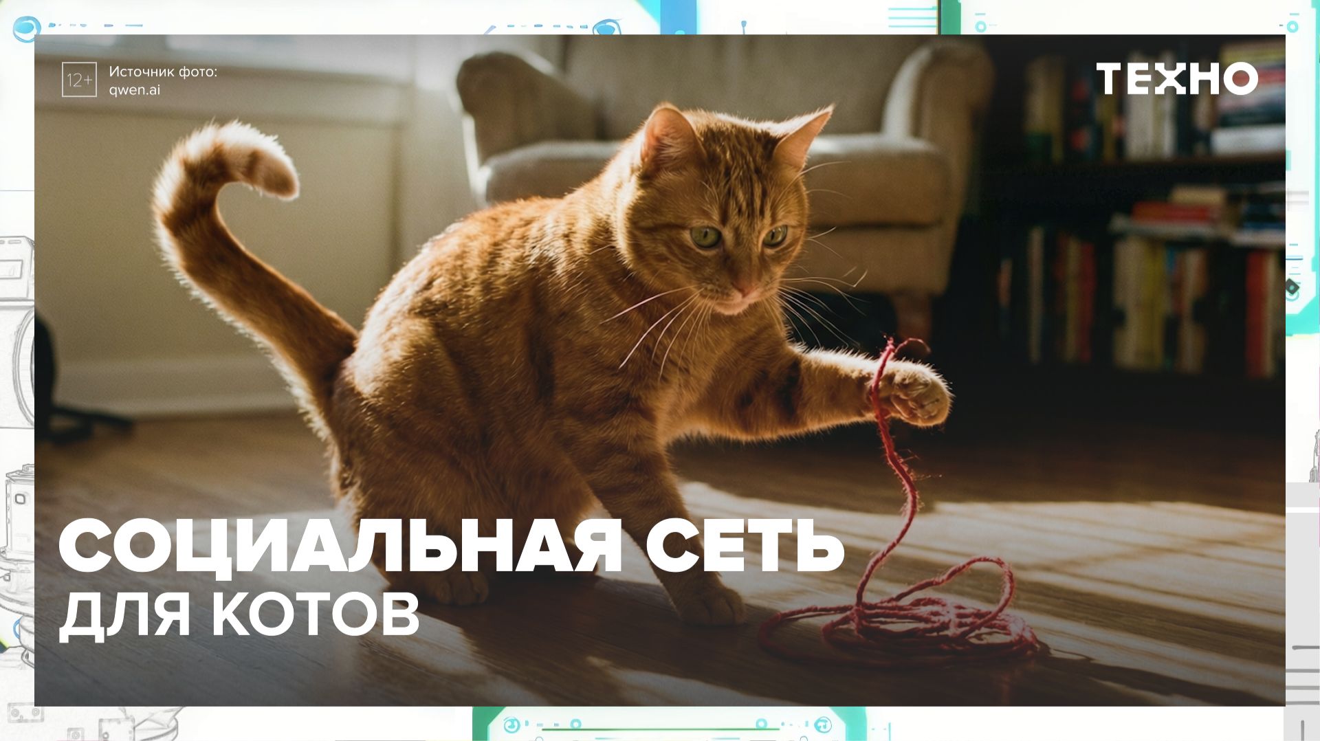 Для котов появилась своя социальная сеть | Техно — Москва 24 смотреть онлайн