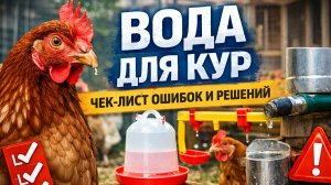 90% хозяев губят кур водой 💧🐔 Главная ошибка, из-за которой падает яйцо и здоровье❌