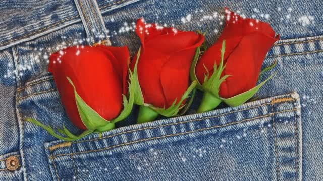 С днём рождения, Никита. 25 лет. смотреть онлайн