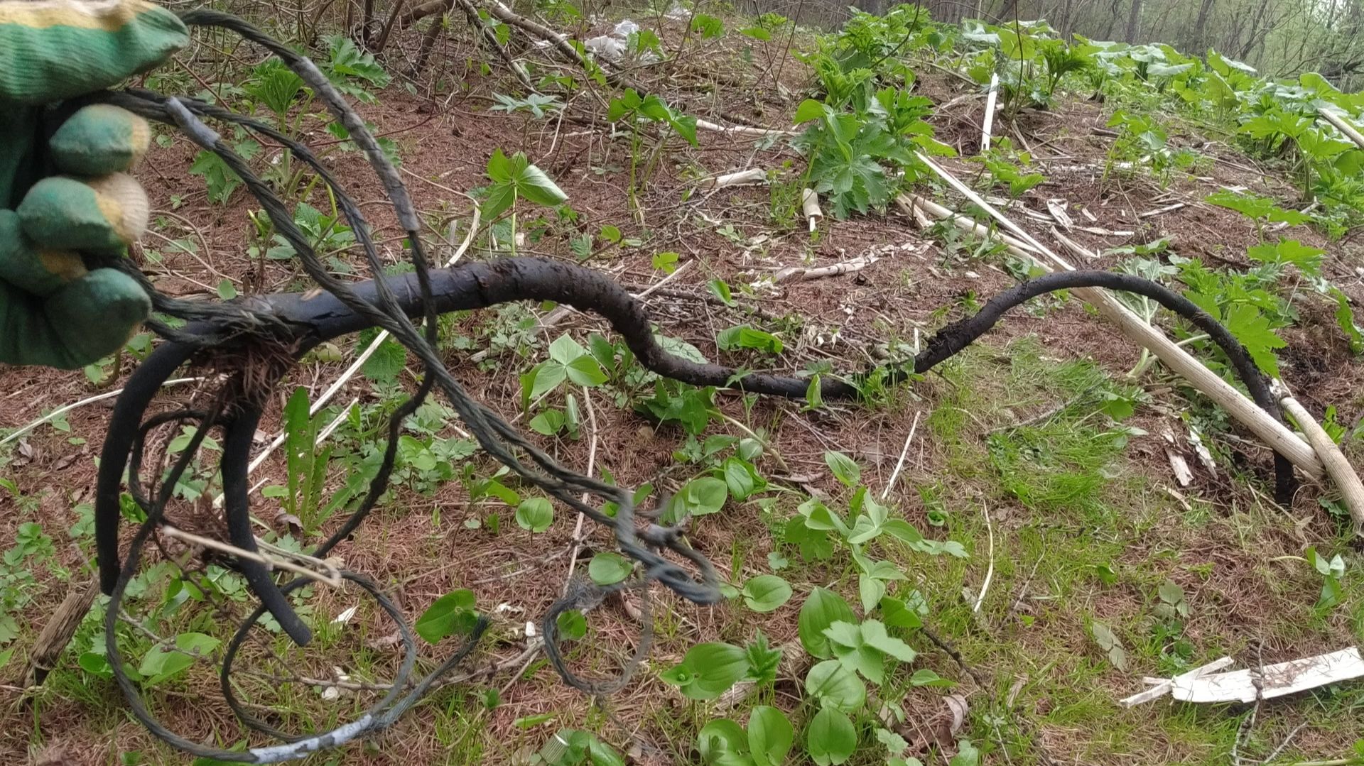 Чайно-медная пауза смотреть онлайн