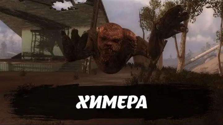 S.T.A.L.K.E.R.-Я УБИЛ ПЕРВУЮ ХИМЕРУ!-(1 серия) Himera Kill