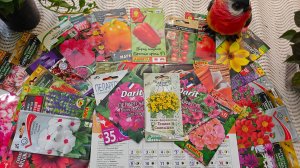 Что когда посадить и посеять в феврале! Лунный посевной календарь огородника на февраль 2026