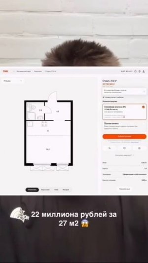 Пока вы платите, цены будут расти. Жадность капиталиста звериная, ибо он как мопс не испытывает чувс