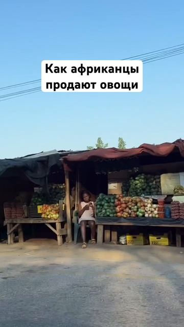 Вдоль шоссе местные продают овощи в таких ларьках, с детьми на руках. Мы едем в сафари-парк Крюгер смотреть онлайн