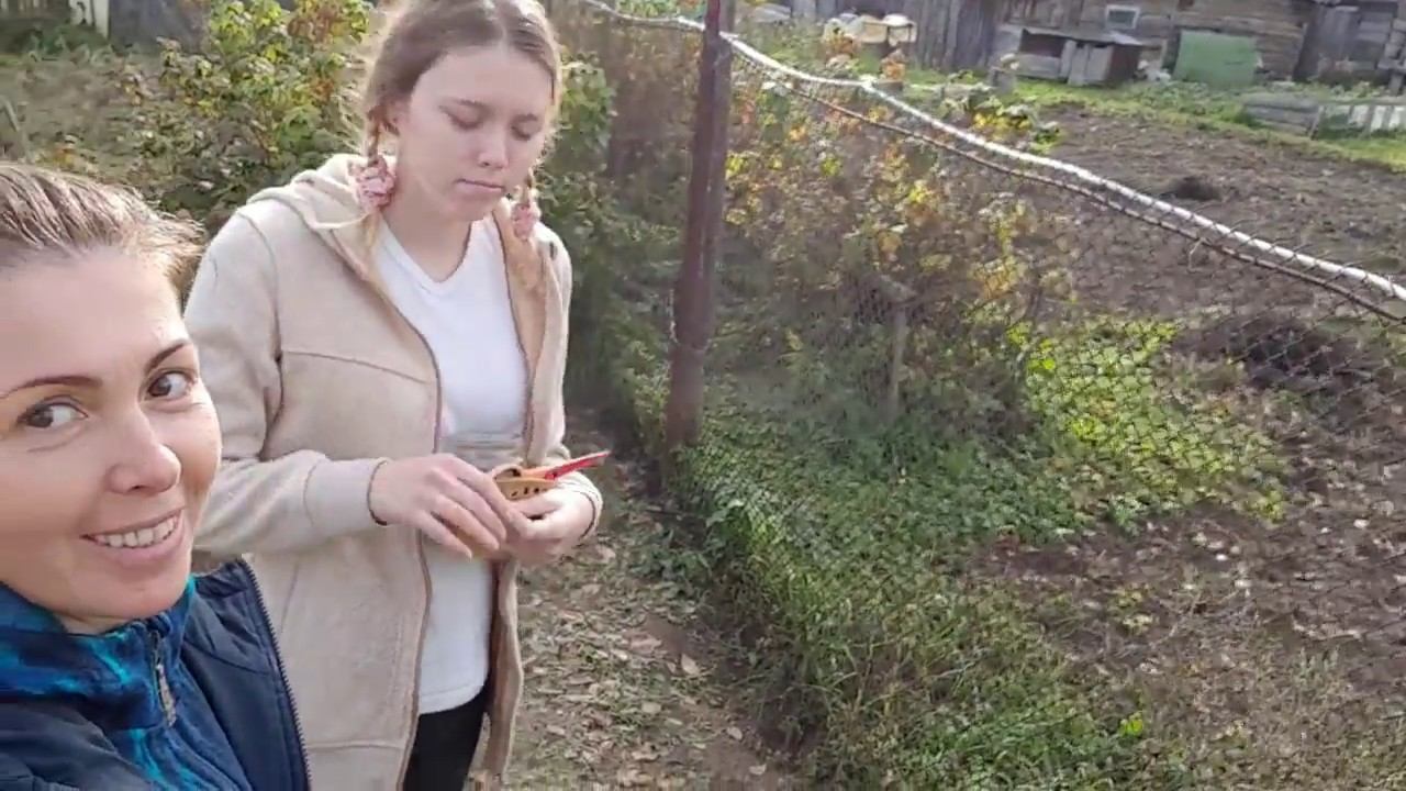 Наши события за последнее время / Жизнь в деревне смотреть онлайн