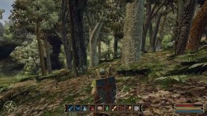 Gothic 3 часть 61