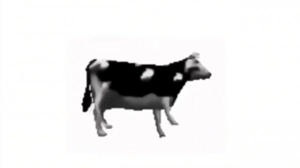 песня про польскую корову