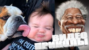 ЛУЧШИЕ ПРИКОЛЫ 2025 | ПРИКОЛЫ 2025 | СВЕЖИЕ ПРИКОЛЫ 2025 | РЖУ НЕ МОГУ |