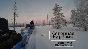 Карелия. Поиск окуня в глухозимье. Красивая природа севера. Зимняя рыбалка 2026 .