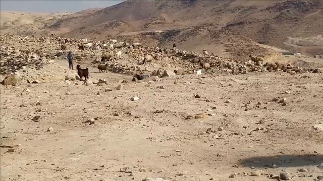 Археологи раскопали библейский Содом_