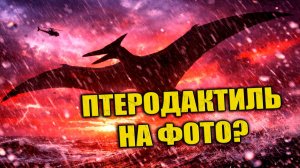 Птеродактиля заметили на фото в небе над Лансароте во время сильного шторма