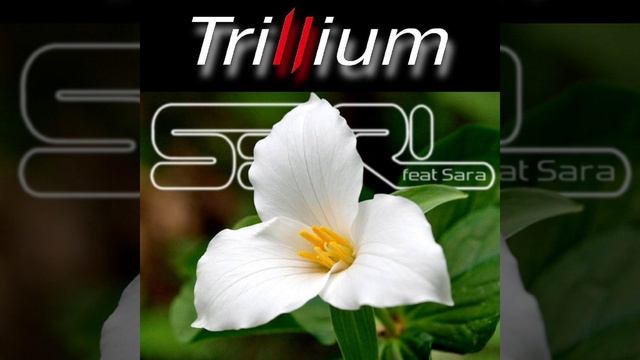 Trillium S3RL, Sara |1 Hour|