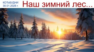 РЕЛАКС: Хрустит снежок приятно под ногами... или КОТоБУДНИ от 30.01.2026 г.