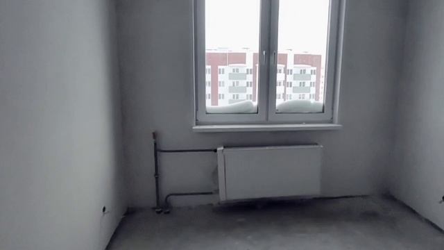 Video5469828060490536735