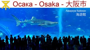 Океанариум «Аквариум Кайюкан» — последний день в Японии