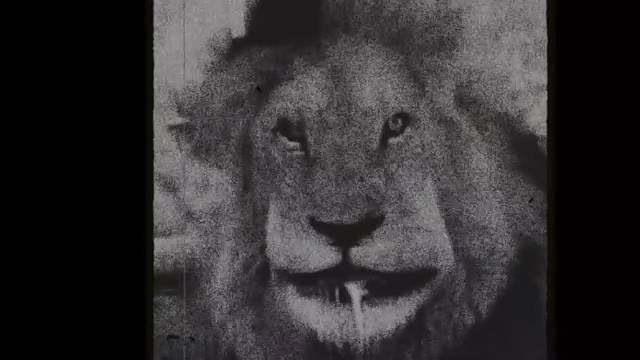 |Недо-разоблачение на крутой roblox|Почему он п*ДОР