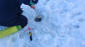 Спортзона.Поимки