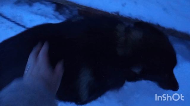 /130/ Проводили гостей.Устроила себе сегодня выходной. смотреть онлайн